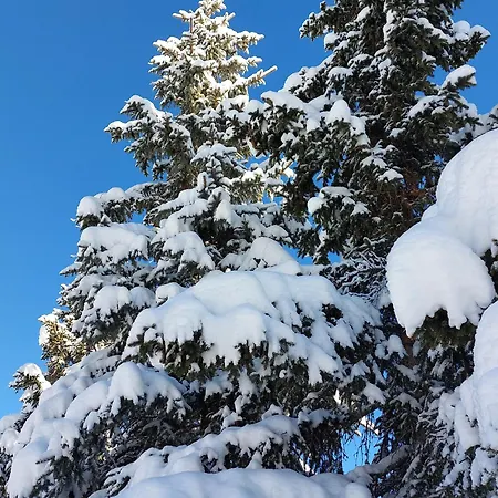 Alpehytte Luxueux A Avec Piscine, Hammam Et Sauna - Fr-1-613a-27