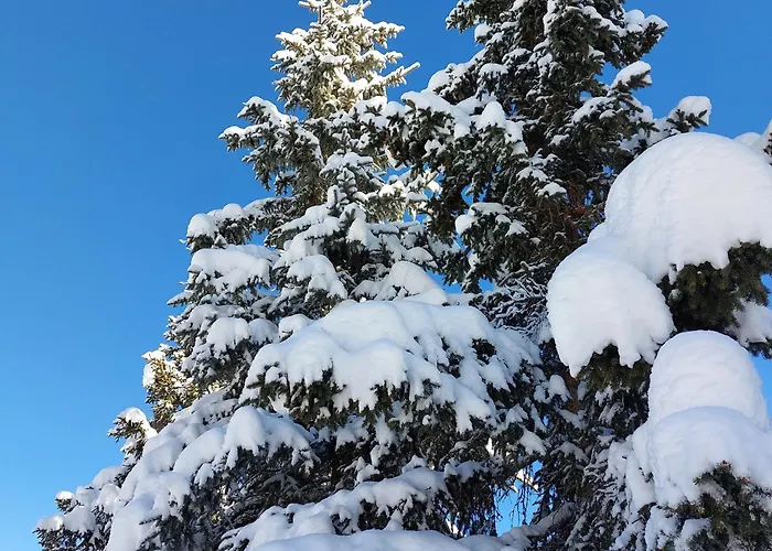 Alpehytte Luxueux A Avec Piscine, Hammam Et Sauna - Fr-1-613a-27